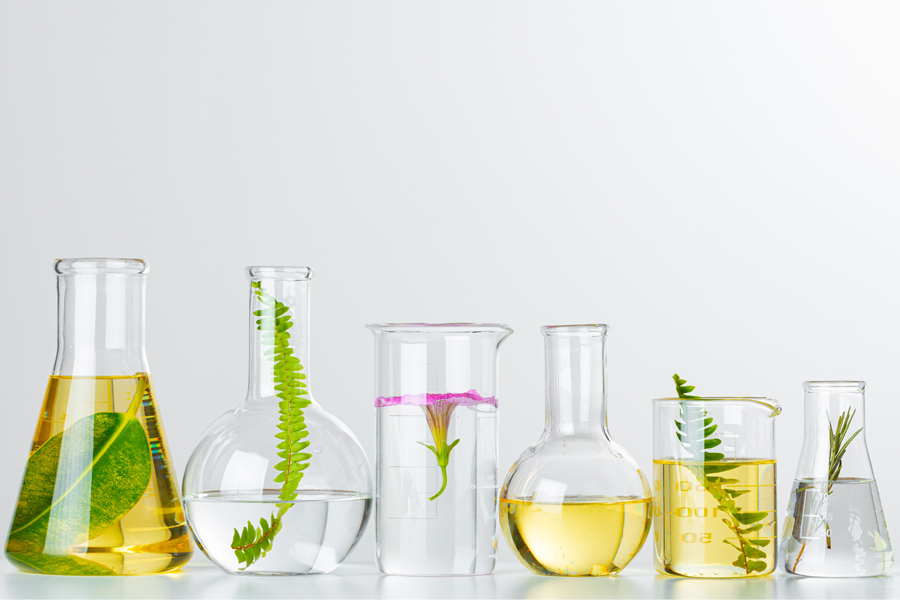 Vegan certification: what, why and how