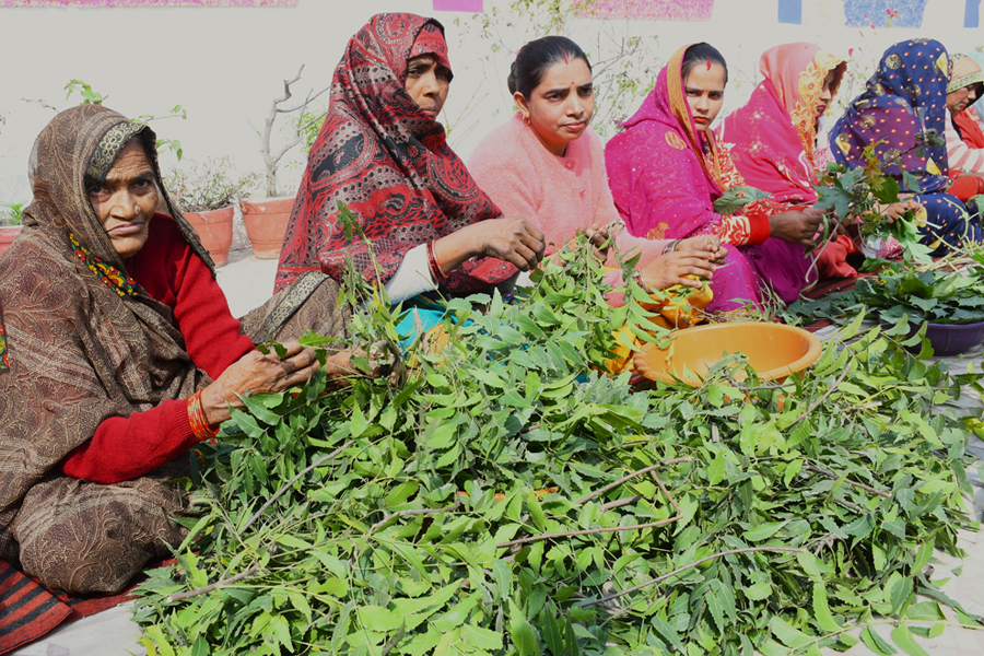 Combatting ageing with Ayurvedic science