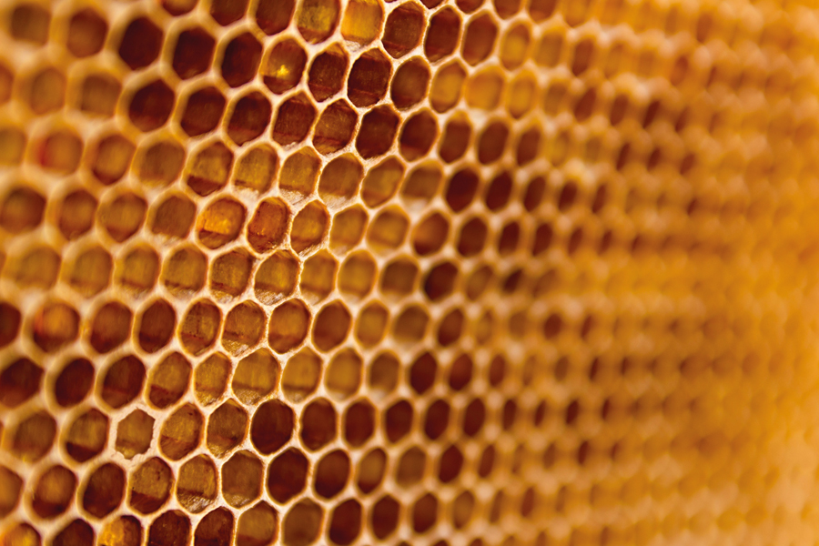 Innovating with wax in personal care