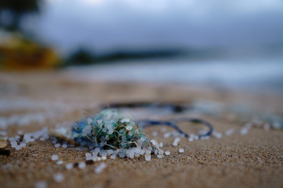 Microplastics ‘change human gut microbiome’- study