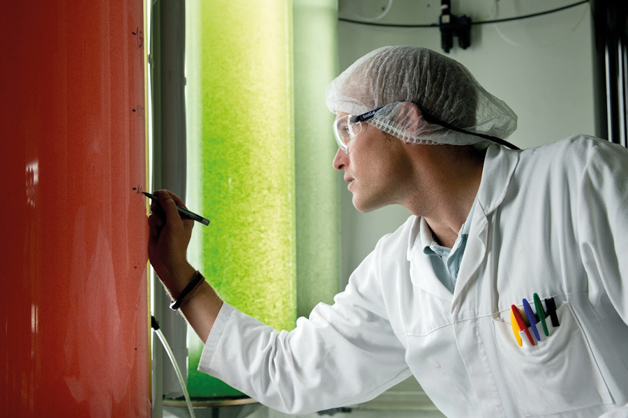 Algal biodiversity for advanced formulation