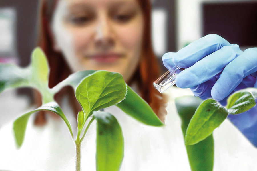Plant polypeptides for inflamed skin