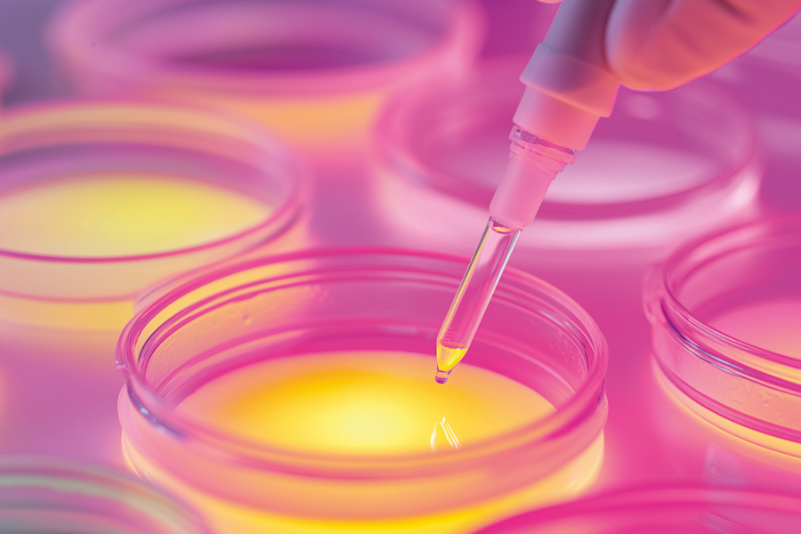 Fungal biotechnology for boosting sunscreen