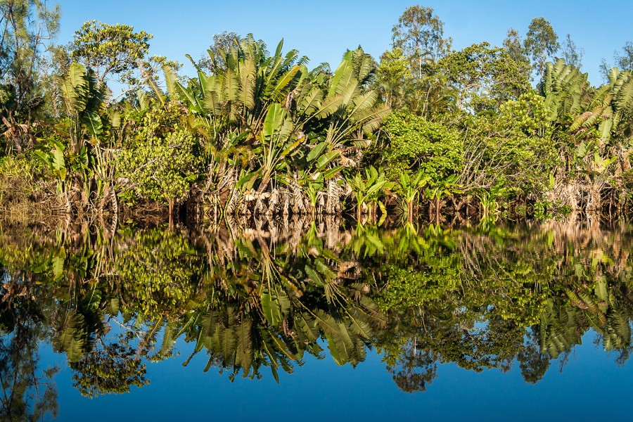 Symrise launches digital platform for carbon footprint tracking