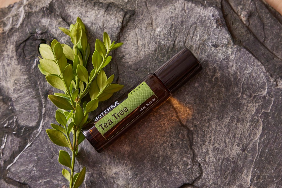 EU issues final opinion on tea tree oil in cosmetic products