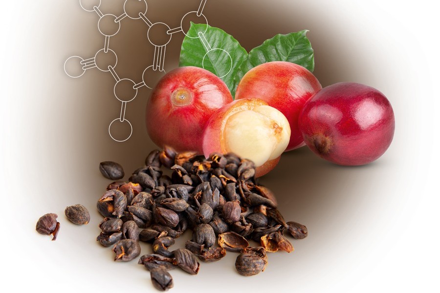 Lipoid Kosmetik brews coffee-based scalp energizer