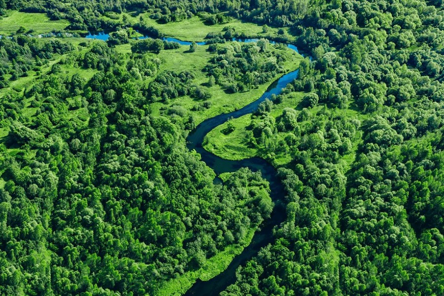 Brazil’s AmazonOil taps ChemQuest International as US distributor